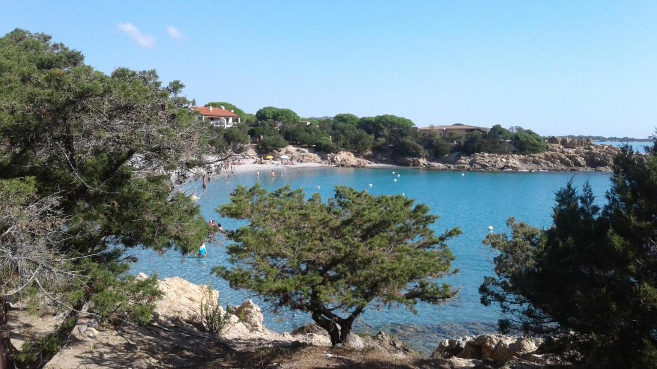 Summer Time 卡拉·利贝罗托 外观 照片