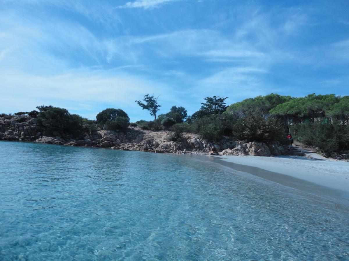 Summer Time 卡拉·利贝罗托 外观 照片
